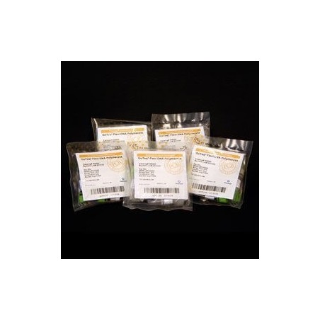 GoTaq (OR) PCR Core System I, 200 реакций