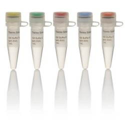 Набор буферов для эндонуклеаз рестрикции