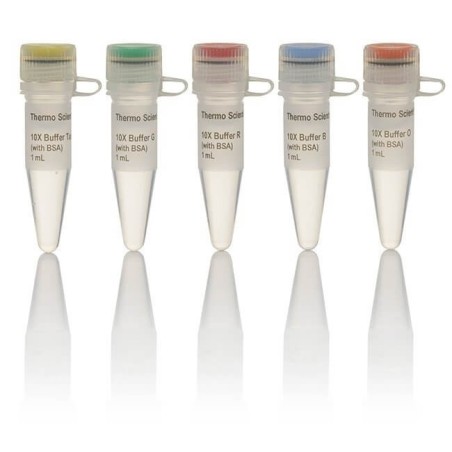 Набор буферов для эндонуклеаз рестрикции