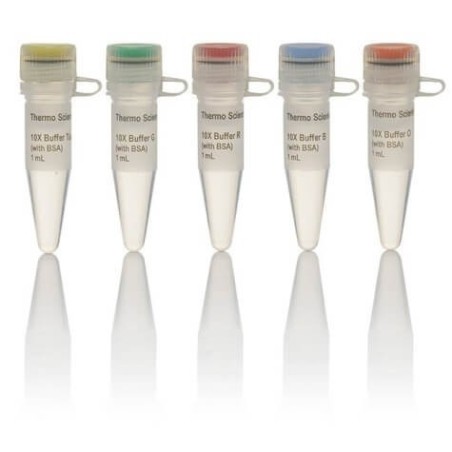 Буфер для разбавления эндонуклеаз рестрикции