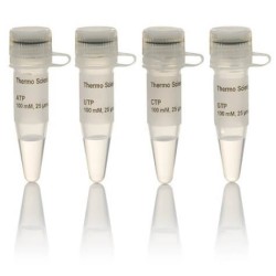 Набор NTP, 100 мкмоль