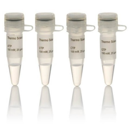 Набор NTP, 100 мкмоль