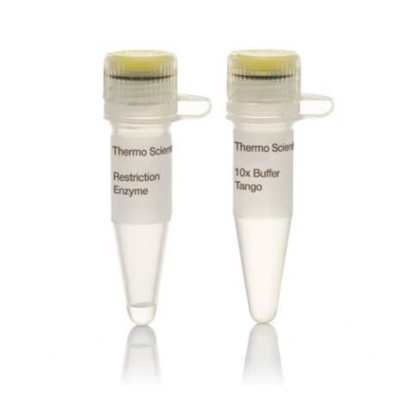 Эндонуклеаза рестрикции