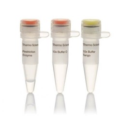 Эндонуклеаза рестрикции