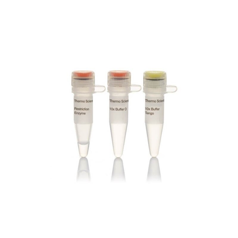 Эндонуклеаза рестрикции