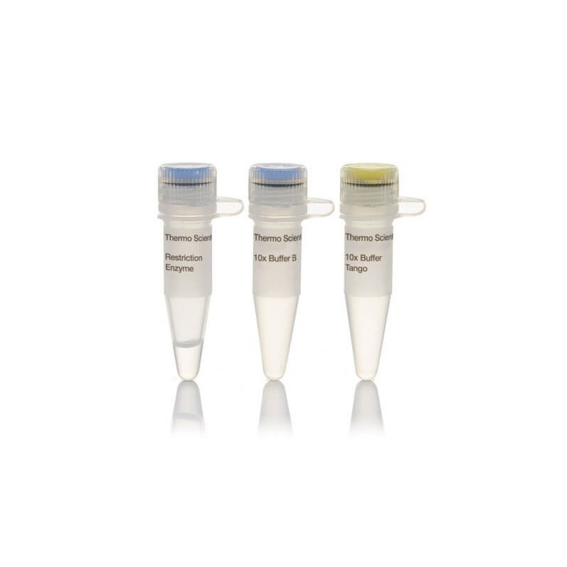 Эндонуклеаза рестрикции