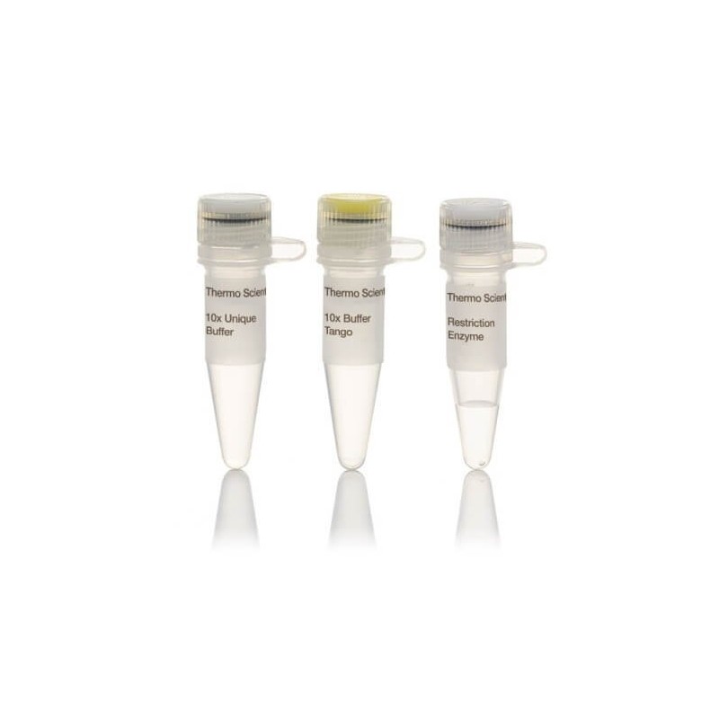 Эндонуклеаза рестрикции  BfuI