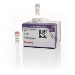 Набор реагентов для ускоренного лигирования  ДНК