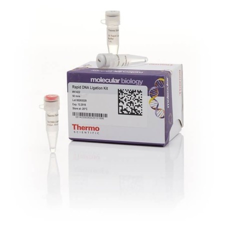 Набор реагентов для ускоренного лигирования  ДНК