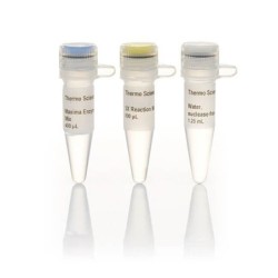 Набор реагентов для синтеза первой цепи к ДНК