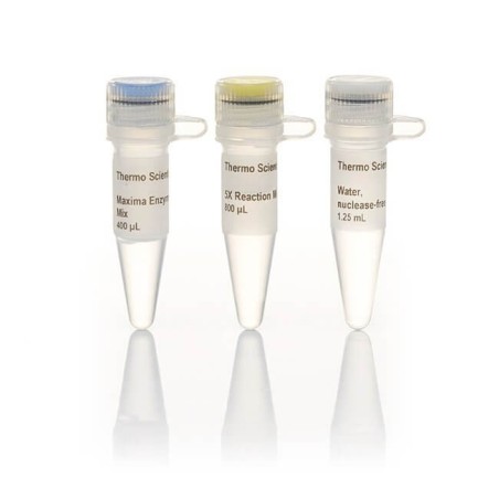 Набор реагентов для синтеза первой цепи к ДНК