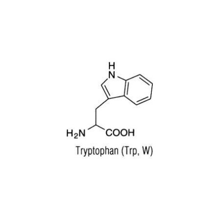 L-Триптофан, 25гр
