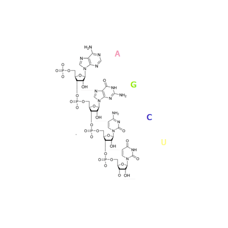 РНК (из дрожжей Torula), 100 гр