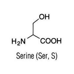 L-Серин (USP GRADE), 500гр