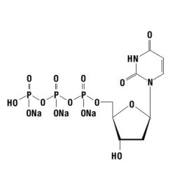 dUTP 100 mM, 10 мкмолей