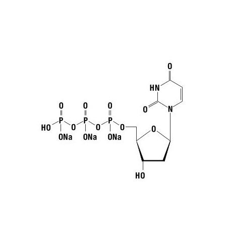 dUTP 100 mM, 10 мкмолей