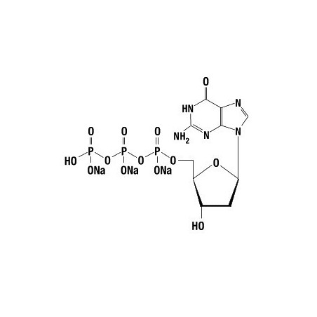 dGTP 100 mM, 10 мкмолей