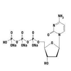 dCTP 100 mM, 10 мкмолей
