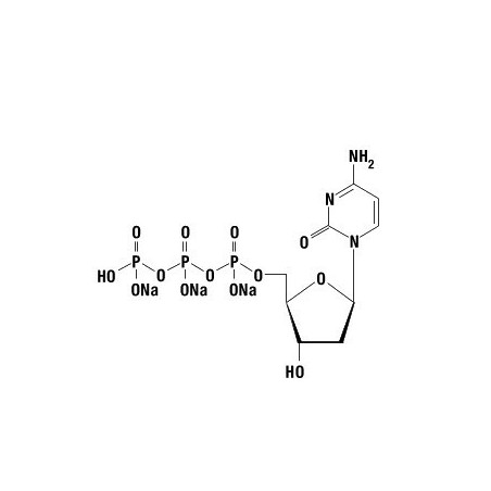 dCTP 100 mM, 10 мкмолей