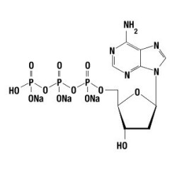 dATP 100 mM, 10 мкмолей