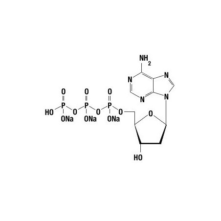 dATP 100 mM, 10 мкмолей