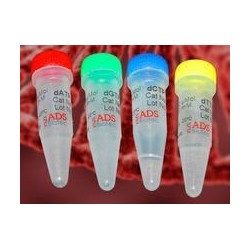 10х Taq буфер, pH 8.6, без Mg2+ 1мл