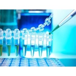 Эндонуклеаза рестрикции Hae III 1'000 ед.