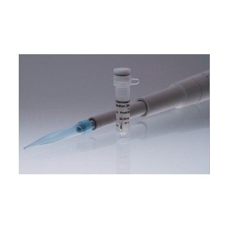 dATP, 100 mM 200мкл