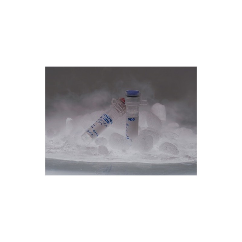 Урацил-ДНК гликозилаза (УДГ) 200 ед.