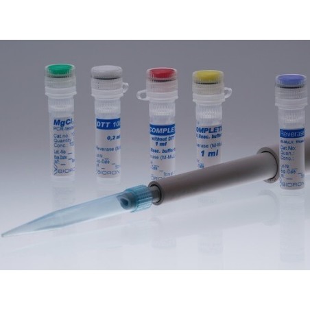 Ревертаза (M-MuLV RT) 10000 ед.