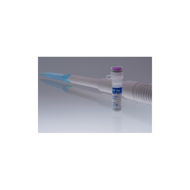 ДНК маркер 1kb 50 мкг (готовый к использованию)