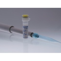 Смесь dNTP 4you4, 10mM каждого 200 мкл код 29349990