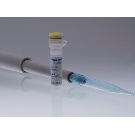 Смесь dNTP 4you4, 10mM каждого 200 мкл код 29349990