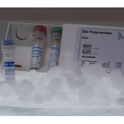 SD полимераза Hot Start, 10ед/мкл (200ед)