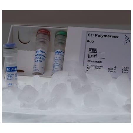 SD полимераза Hot Start, 10ед/мкл (200ед)