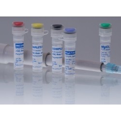 SNPAse Hot Start ДНК полимераза 20ед/мкл (500ед)