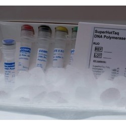 SuperHotTaq ДНК полимераза, 5ед/мкл (200ед)