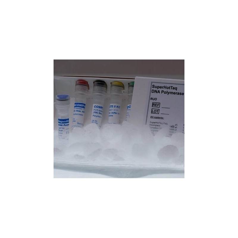 SuperHotTaq ДНК полимераза, 5ед/мкл (200ед)