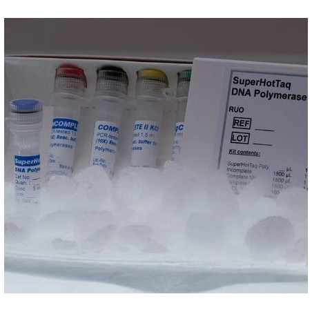 SuperHotTaq ДНК полимераза, 5ед/мкл (200ед)