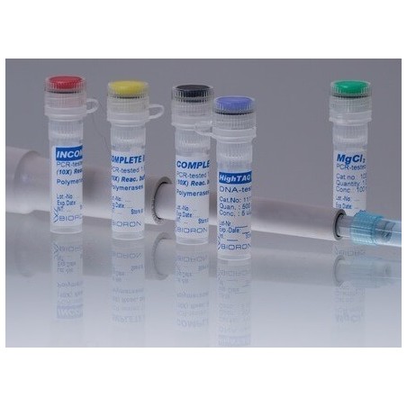 HighTaq ДНК полимераза, 5ед/мкл (500ед)