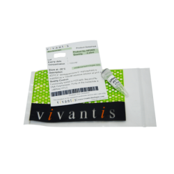 dUTP, 100mM раствор, 0.25 мл