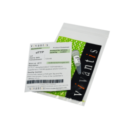 dTTP, 100mM раствор, 0.25 мл