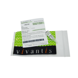 dGTP, 100mM раствор, 0.25 мл