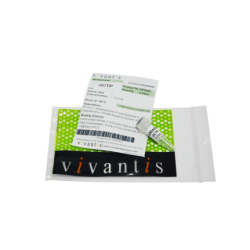 dCTP, 100mM раствор, 0.25 мл