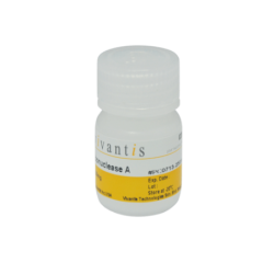 Рибонуклеаза А (РНКаза А), 500 мг