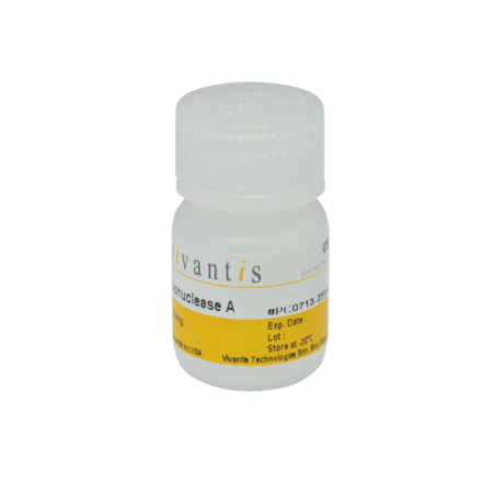 Рибонуклеаза А (РНКаза А), 500 мг