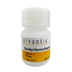 Дезоксирибонуклеаза I (ДНКаза I), 100 мг