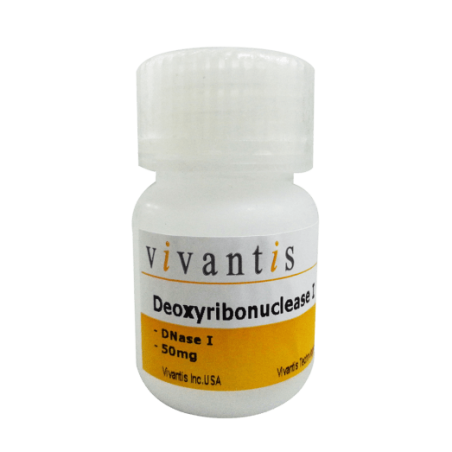 Дезоксирибонуклеаза I (ДНКаза I), 25 мг