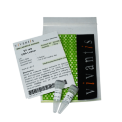 ДНК маркер VC1kb (готовый к использованию), 50 мкг