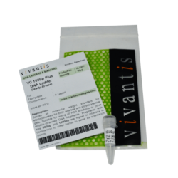 ДНК маркер VC100bp Plus (готовый к использованию), 50 мкг